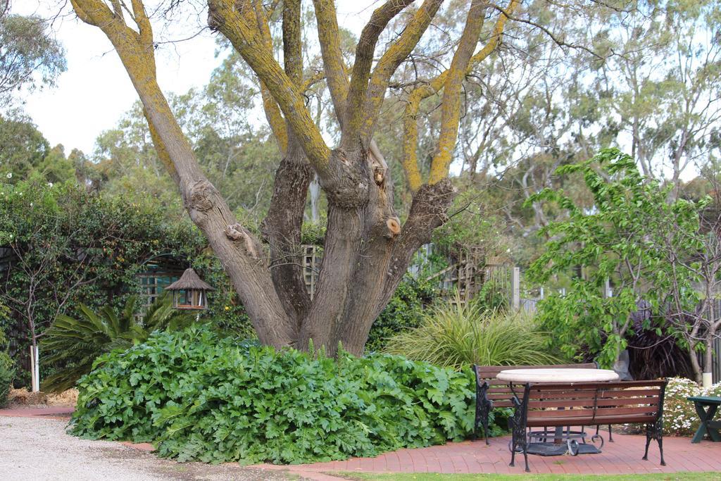Bed and Breakfast Barossa House à Tanunda Chambre photo