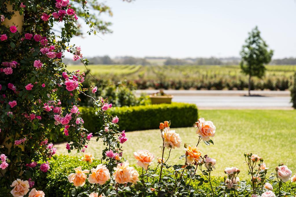 Bed and Breakfast Barossa House à Tanunda Extérieur photo